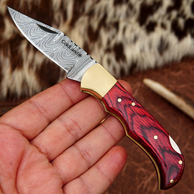 Pocket Folding Knife EDC Hand Forged in Damascus Steel Brass Bolster and Red Pakka Wood Handle with Leather Sheath ILFOL01-V3