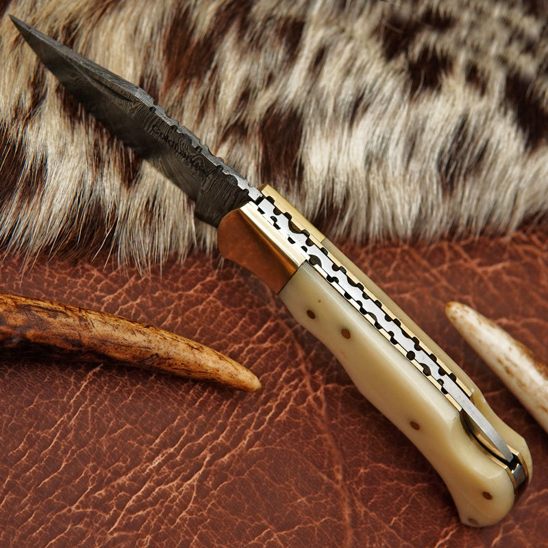 Pocket Folding Knife EDC Hand Forged in Damascus Steel Brass Bolster and Camel Bone Handle with Leather Sheath ILFOL01